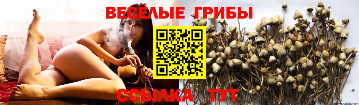 Галлюциногенные грибы мухоморы  Вход с VPN  Кимовск 